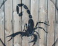 Uporabniški avatar